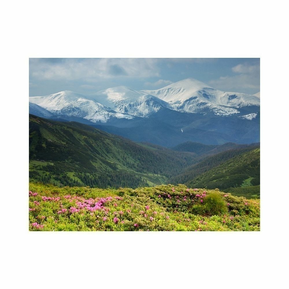 Papier peint - paysage de montagne au printemps 300x231 cm