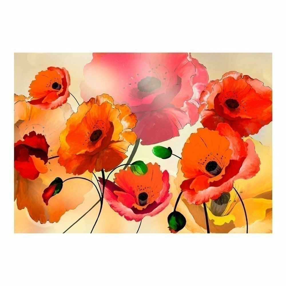 Papier peint - velvet poppies 400x280 cm