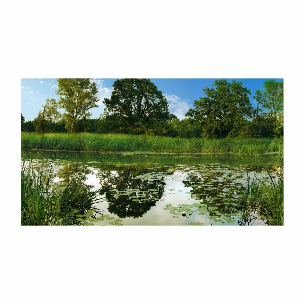 Papier peint xxl - the magic pond ii 600x280 cm
