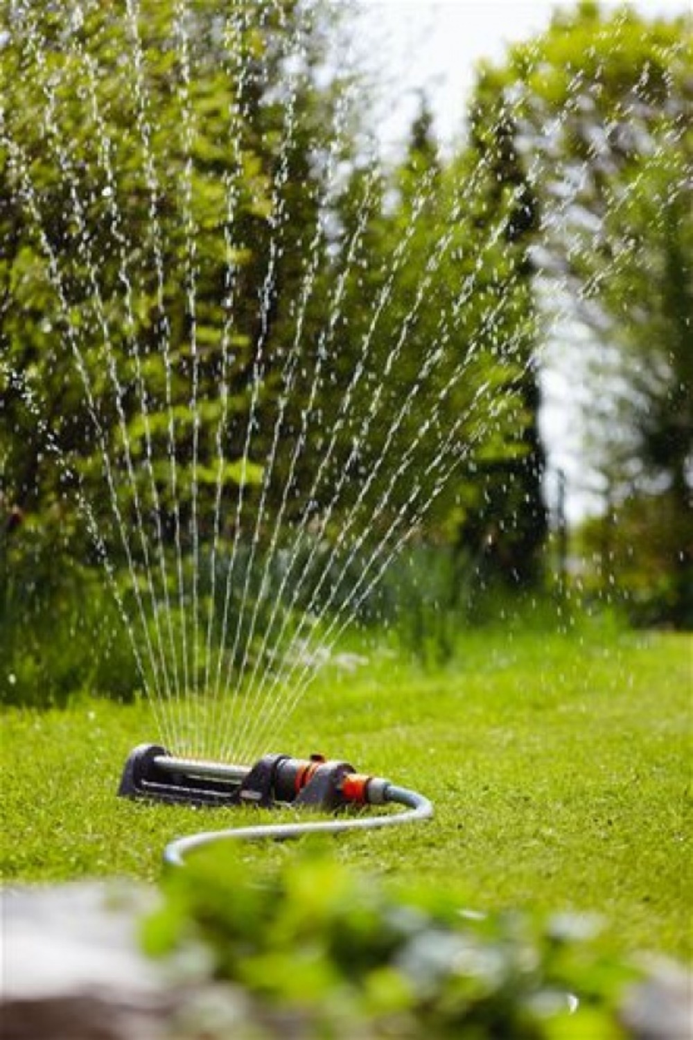 Pompe immergée de forage 5500/5 inox premium