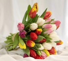 Bouquet Tulipes