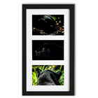 Cadre triptyque 40x23cm avec photos et passe-partout - jaguar 01