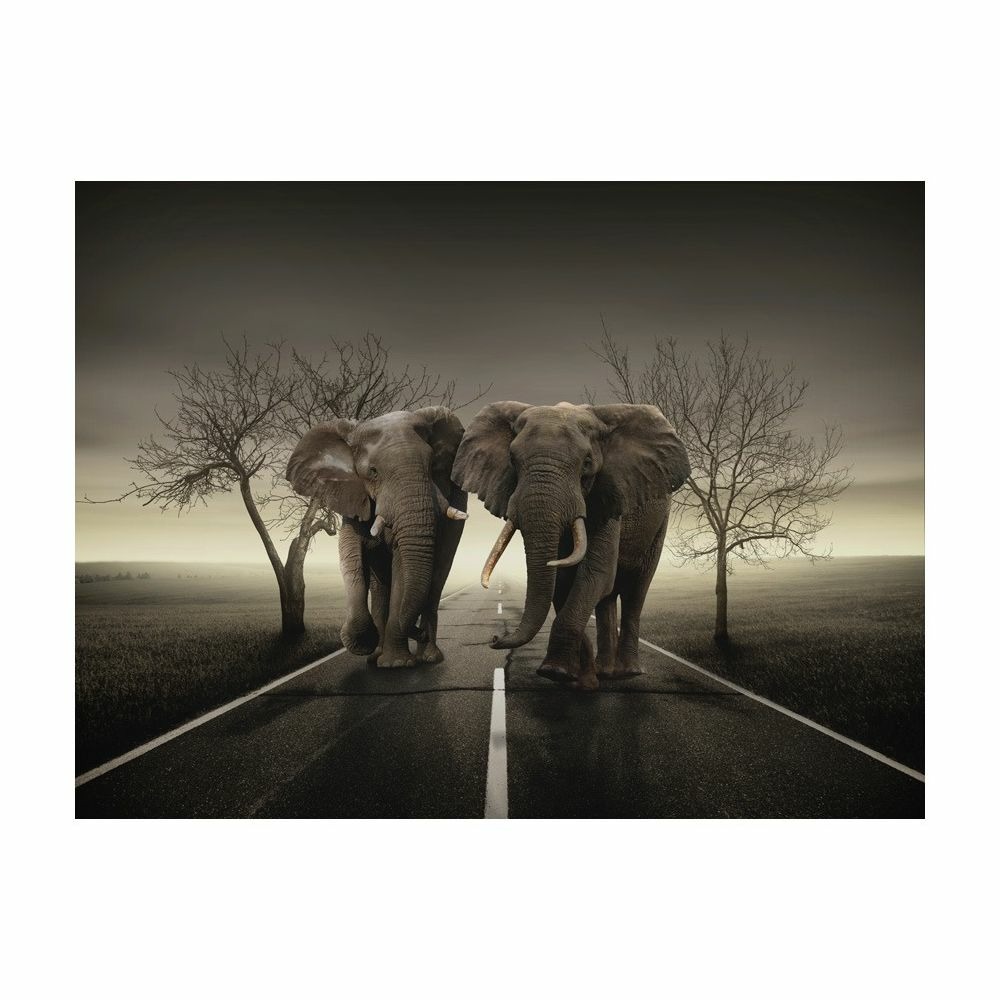 Papier peint - ville d'éléphants 250x193 cm