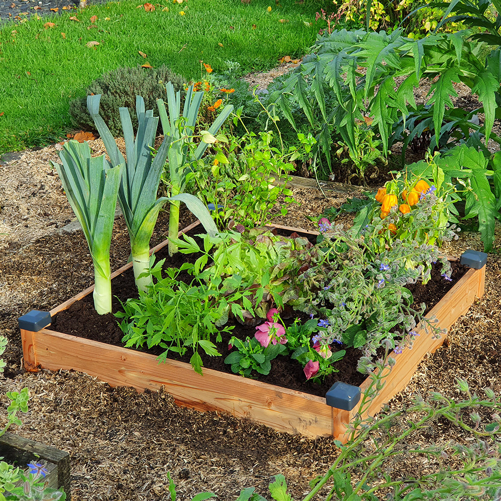 Comment cultiver un potager douglas en toute simplicité ?