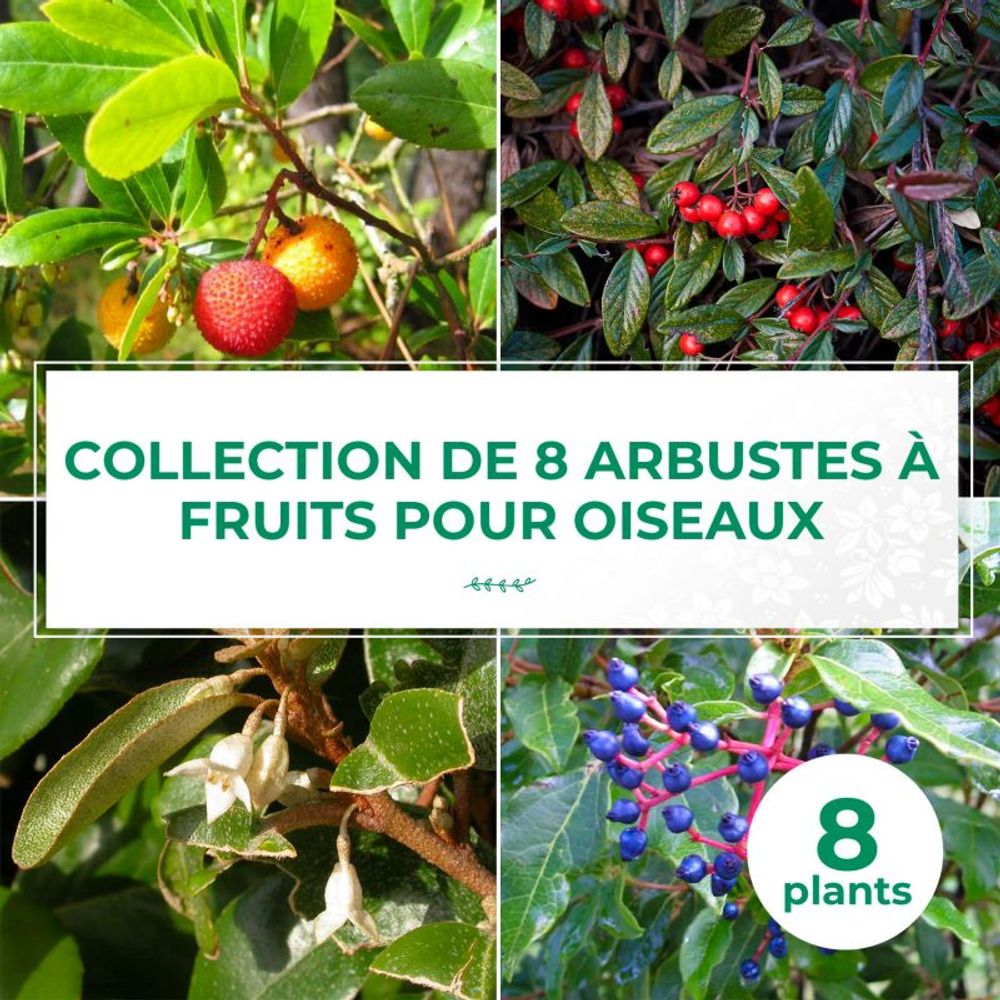 Lot De 6 Arbustes Miniatures – Simulés Réalistes – Déco Jardin Miniature, Train, Table De Sable – Ibasenice