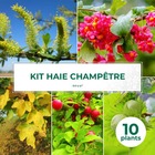 Kit haie champêtre - 10 jeunes plants - 10 jeunes plants : taille 20/40cm