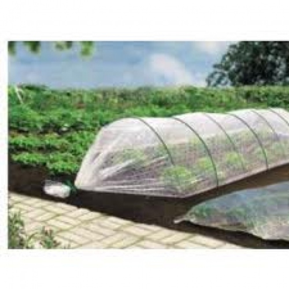 Film de forçage 5 x 10 climairfilm