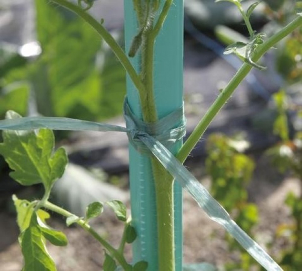 Raphia synthétique prédécoupé - vert - 0,5m 200g