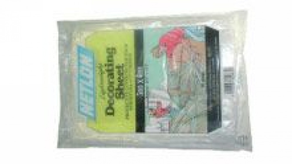 Bâche de peintre 4 x 5 m