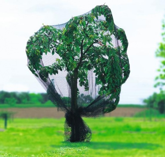 Filet de protection renforcé 5 x12 pronet