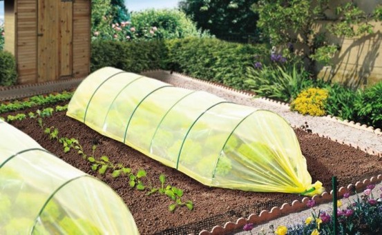 Film de forçage maraîcher climapro 2x5m