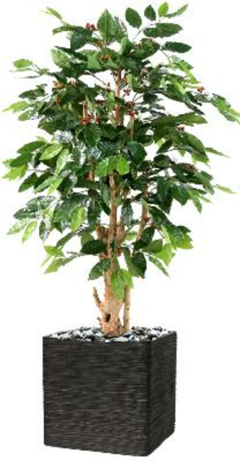 CAFEIER ARTIFICIEL EN POT 1-(941728)