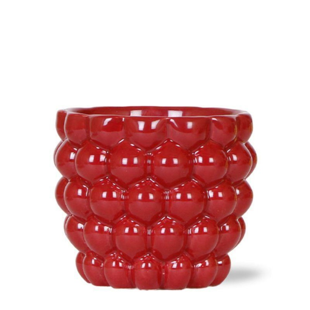 Pot en céramique rouge pour plantes d'intérieur