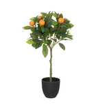 Plante artificielle oranger en pot h 62 cm