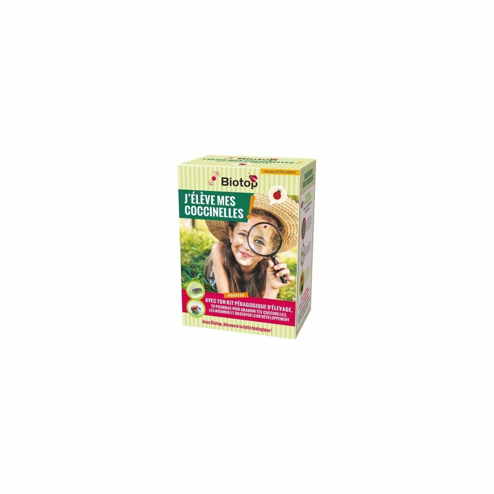 Kit d'élevage de coccinelles - bon pour larves