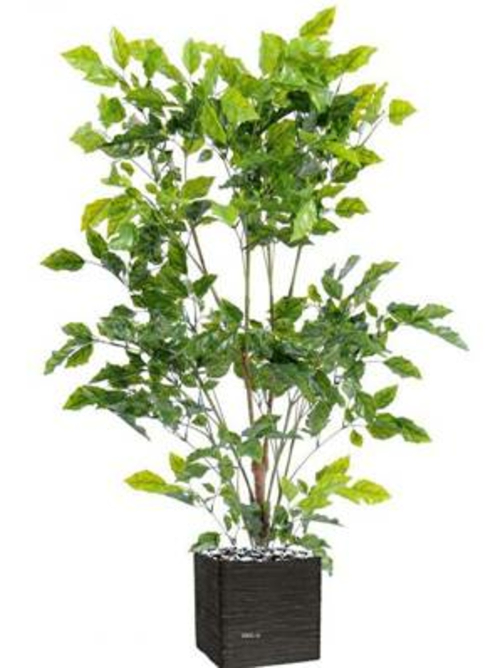 Palissandre artificielle en plastique arbre anti-uv en pot h 175 cm d 105 cm ver