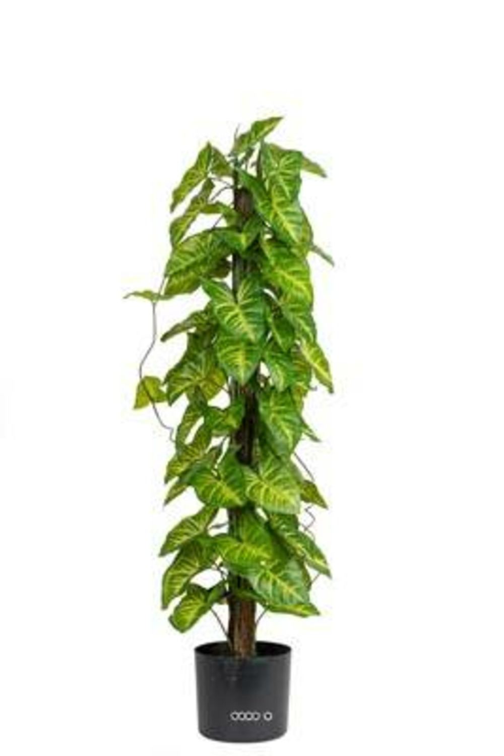 Feuillage d'Hosta artificiel sur pied en pot