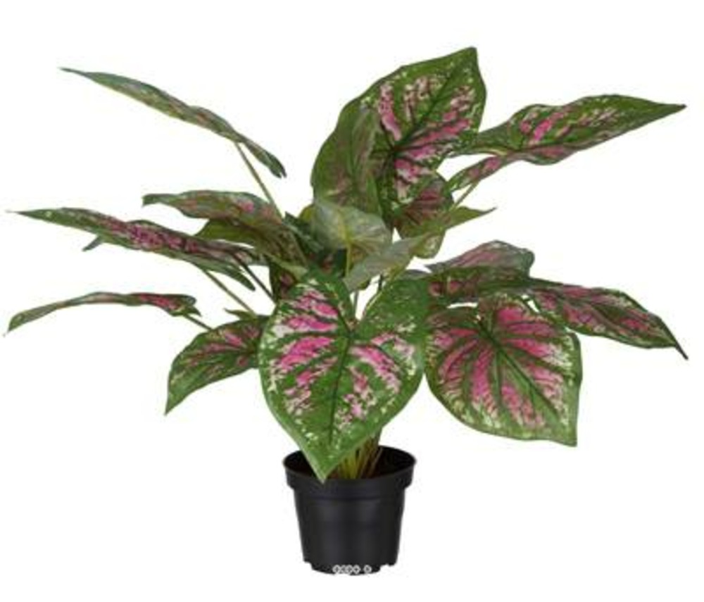 Caladium artificiel en pot h 40 cm d 50 cm grandes feuilles tissu top