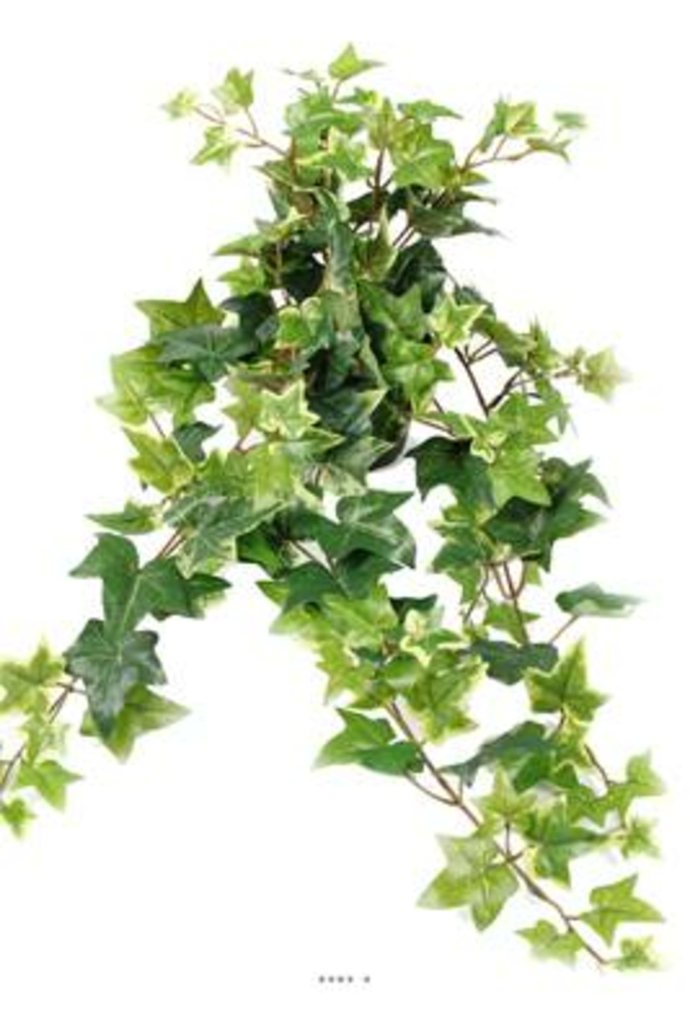 Lierre artificiel panachÃ© en chute