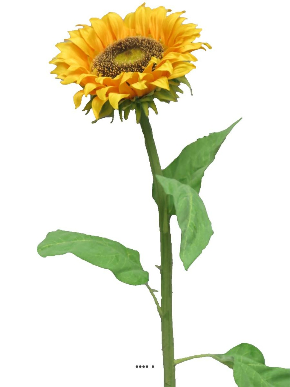 TOURNESOL ARTIFICIEL EN B 1-(939578)