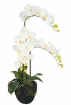 Orchidée phalaenopsis artificielle h 84 cm pot mousse