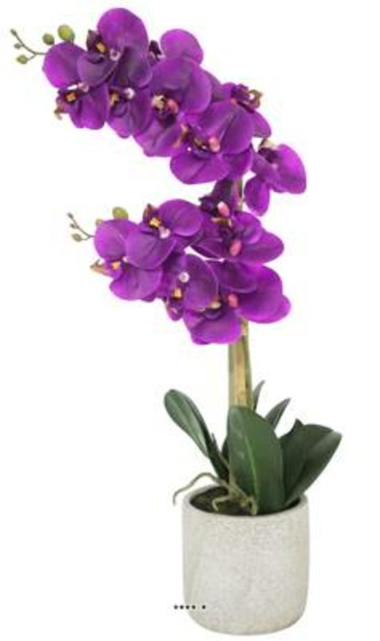 ORCHIDEE PHALAENOPSIS ART 21-(939845)
