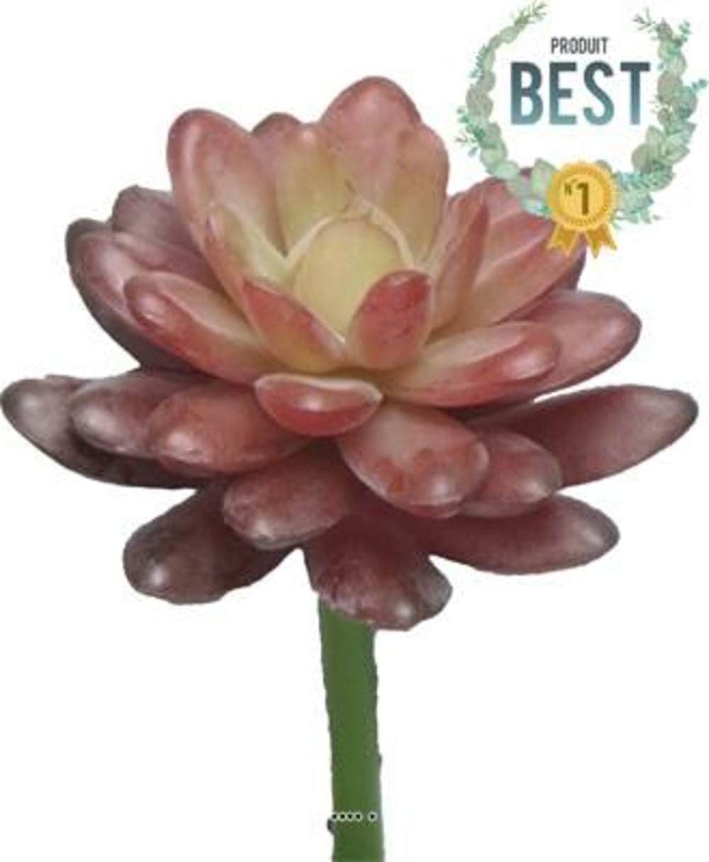 Echeveria elegans factice en piquet, h16cm, d12cm, bourgogne - best - couleur: b