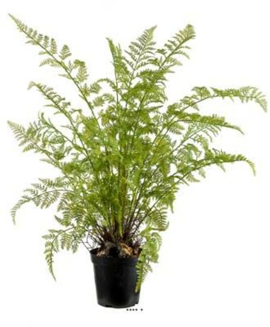 Fougère artificielle proliferum en pot h 80 cm vert - dimhaut: h 80 cm - couleur