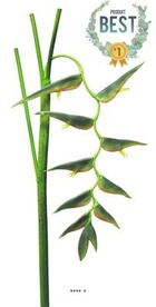 Branche d&rsquo;heliconia equatorial, l 128 cm vert - best - couleur: vert