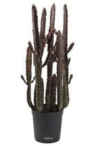 Cactus euphorbe factice en pot vert-rouge top qualité h65cm d25cm - choisissez v