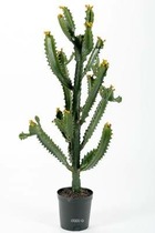Cactus euphorbe factice en pot top qualité h97cm d45cm vert aloé - dimhaut: h 97