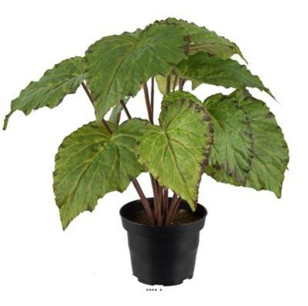 Bégonia royal artificiel en pot, h 30 cm d 25 cm vert - couleur: vert