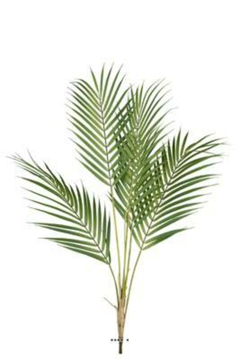 Piquet de 5 feuilles de palmier phoenix factice h85cm plastique d60cm
