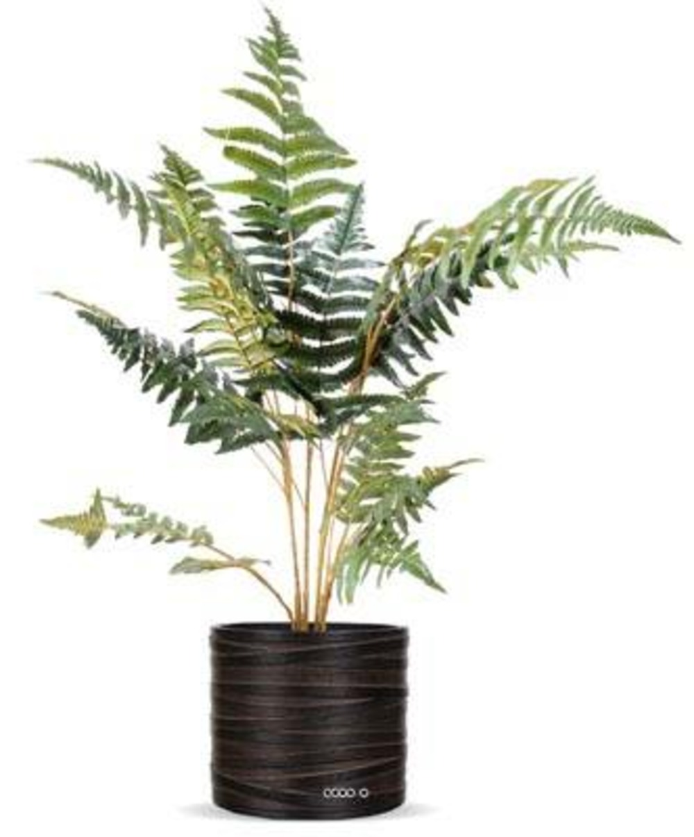 Fougère des forêts artificielle h 75 cm en pot superbe l 60 cm - dimhaut: h 75 c