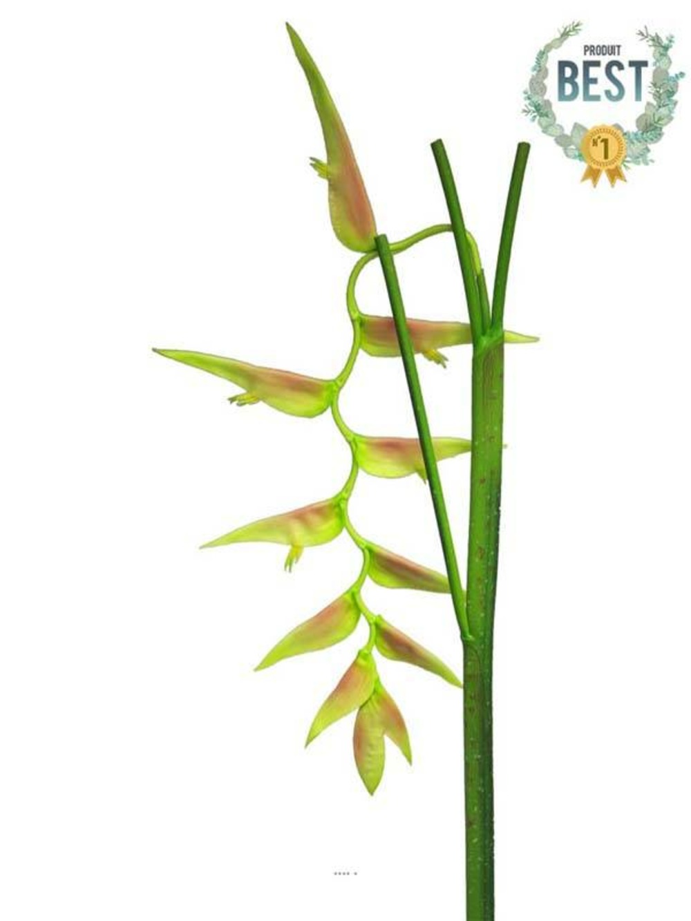 Branche d&rsquo;heliconia equatorial, l 128 cm vert-rose - best - couleur: vert-