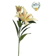 Lys commun artificiel, 2 fleurs, h 74 cm vanille - best - couleur: vanille
