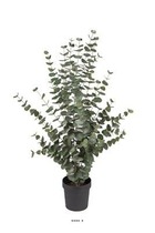 Eucalyptus cinerea artificiel en pot h 110 cm, d 70 cm - dimhaut: h 110 cm