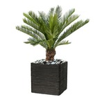 Palmier artificiel cycas en pot h 90 cm vert - choisissez votre hauteur: h 90 cm