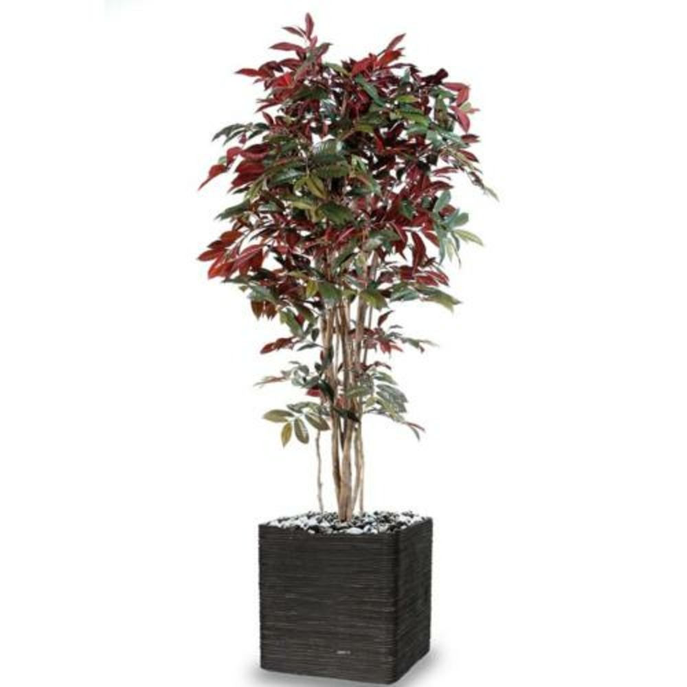 CAPENSIA ARTIFICIEL TRONC 1-(941640)