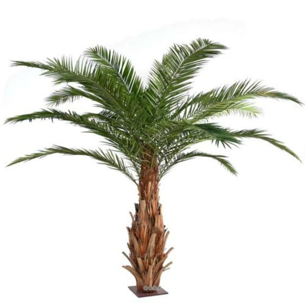 Palmier dattier artificiel en tête h 350 cm d 350 sur platine