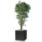 Ficus benjamina artificiel petite feuille tronc lianes en pot tronc naturel h 21