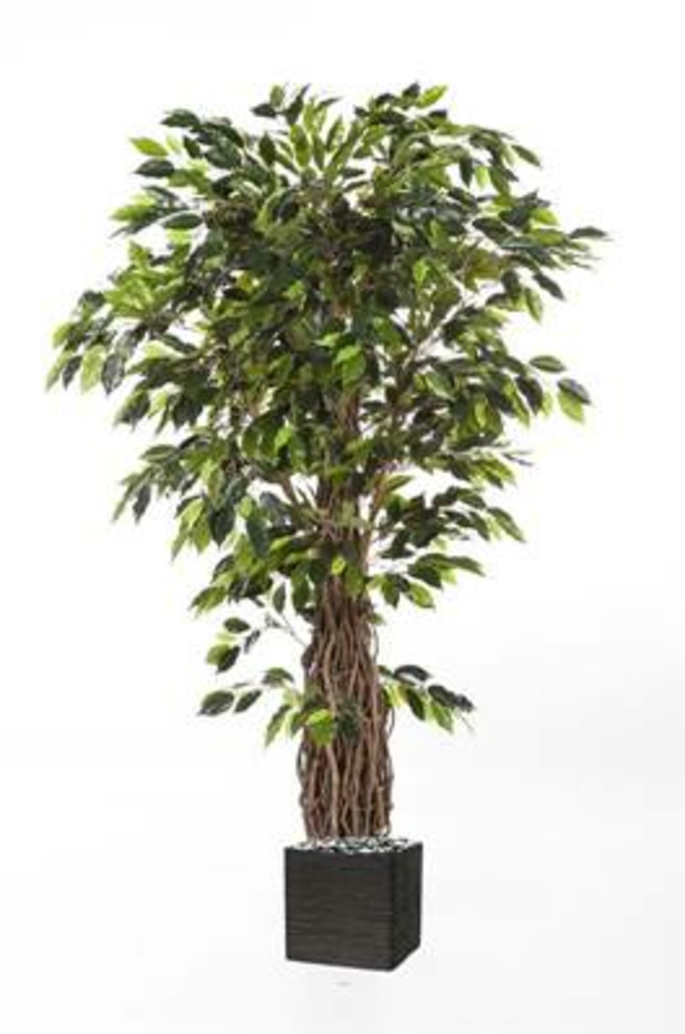 Ficus lianes artificiel luxe h 240 cm 3584 feuilles gros tronc en pot - dimhaut:
