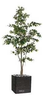 Ficus benjamina artificiel tronc pe en pot superbe h 210 cm d 105 cm vert - dimh