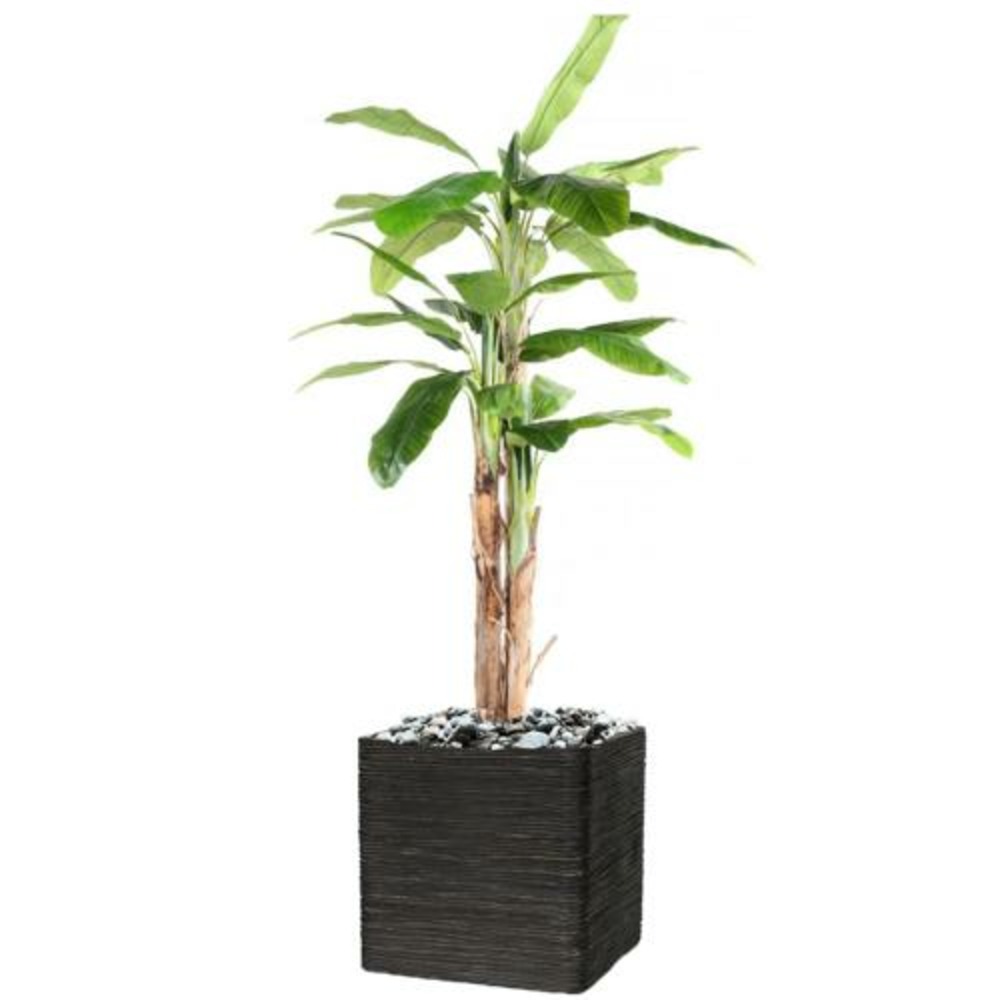 Bananier artificiel en pot 3 troncs naturel h 240 cm vert - dimhaut: h 240 cm -