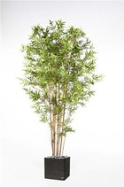 Bambou du japon oriental artificiel h 180 cm 3522 feuilles en pot - dimhaut: h 1