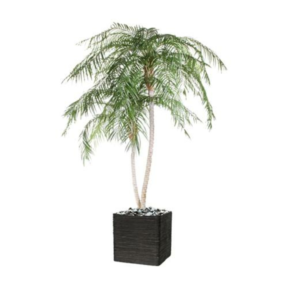 Palmier phoenix factice h225cm 2troncs 2660 feuilles pe anti-uv en pot