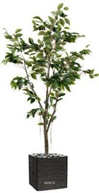 Ficus benjamina artificiel tronc pe en pot superbe h 180 cm d 95 cm vert - dimha