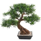 Bonsaï podocarpus artificiel h 80 cm d 78 cm en pot - dimhaut: h 80 cm - couleur