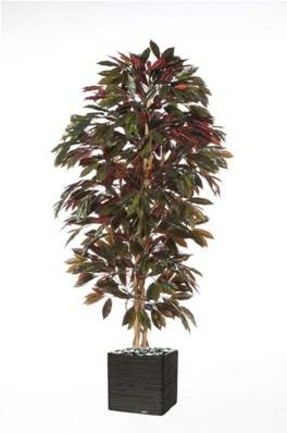 Capensia arbre artificiel h180 cm 986 feuilles superbe et dense en pot - dimhaut