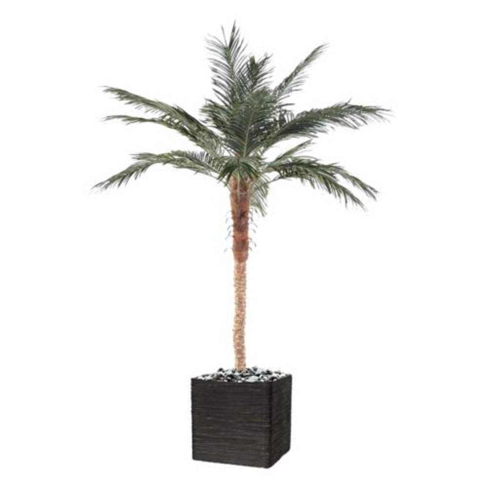 Palmier phoenix artificiel h210 cm d150 cm tronc fibre de verre en pot